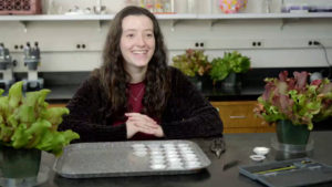 Student Research Examples